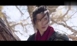 沧海情仇在线观看,一段波澜壮阔的江湖传奇