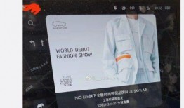 蔚来车主爆料视频大全最新,揭秘新能源汽车的惊喜与挑战